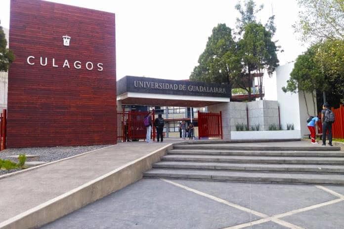 Estudiantes de psicología en CULagos presentan proyectos finales