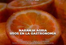 Naranja agria usos en la gastronomía - El Expresso de las 10 - Vi. 13 Diciembre 2024