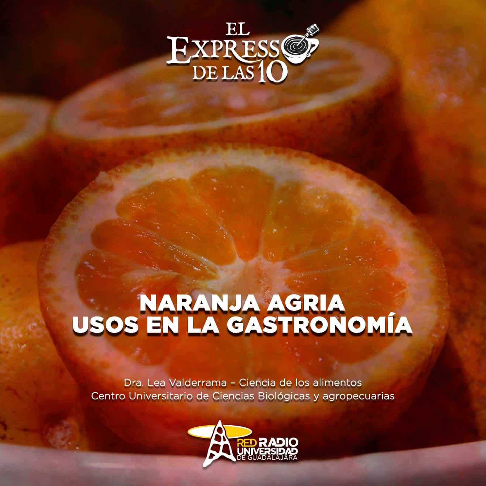 Naranja agria usos en la gastronomía - El Expresso de las 10 - Vi. 13 Diciembre 2024