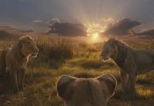 Mufasa: The Lion King, la precuela salvaje de la amable historia de Disney