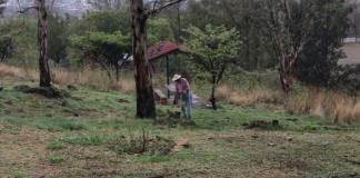 Piden que el cerro de la Reina se integre a la Red de Bosques Urbanos