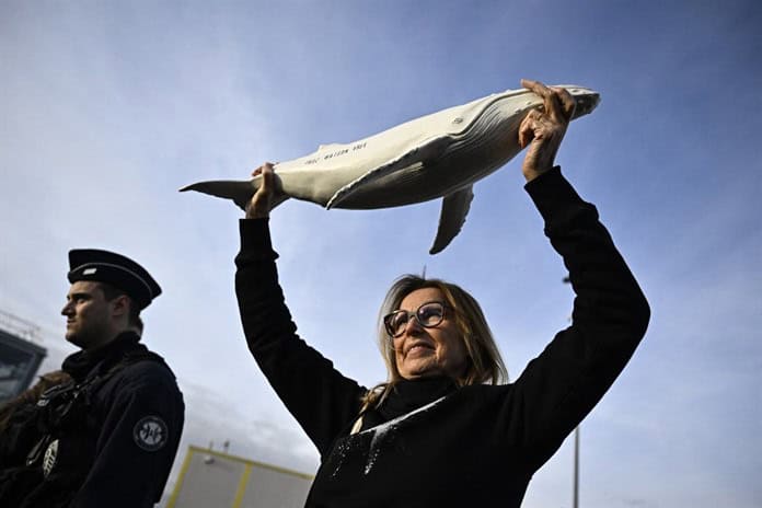 Llega a Francia el defensor de las ballenas Paul Watson, liberado por Dinamarca