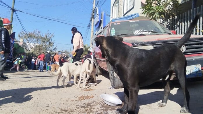 Un grupo de amigos cumple 17 años transformando la Navidad en colonias vulnerables de Zapopan