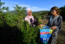 Mujeres recolectoras de plantas aromáticas lidian con la sequía en Túnez