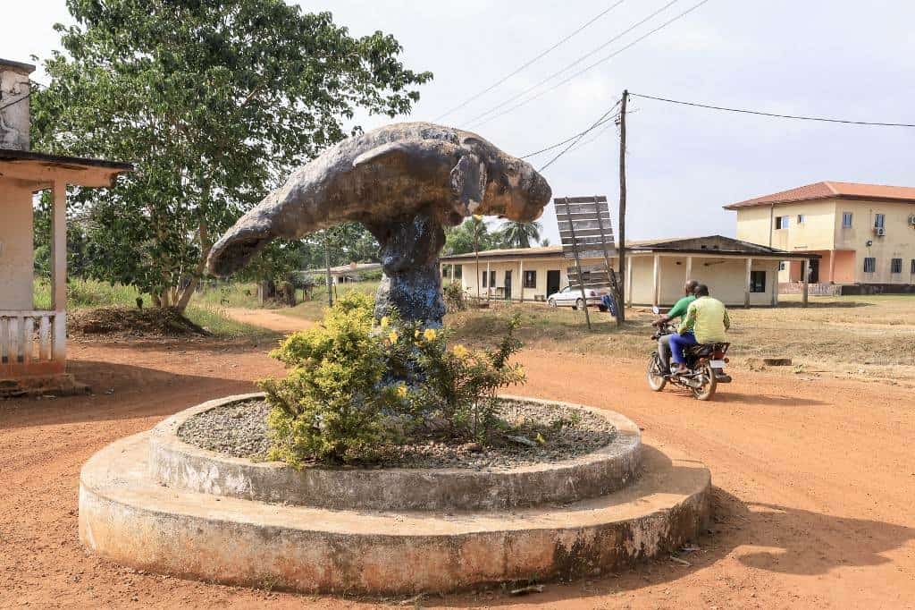 Un biólogo camerunés lucha para salvar a los manatíes africanos