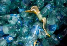 Austria introduce fianzas por cada lata y botella de plástico para fomentar el reciclaje