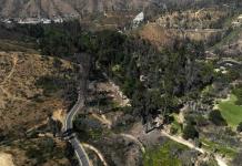 Árboles más resistentes al fuego para enfrentar incendios forestales en Chile