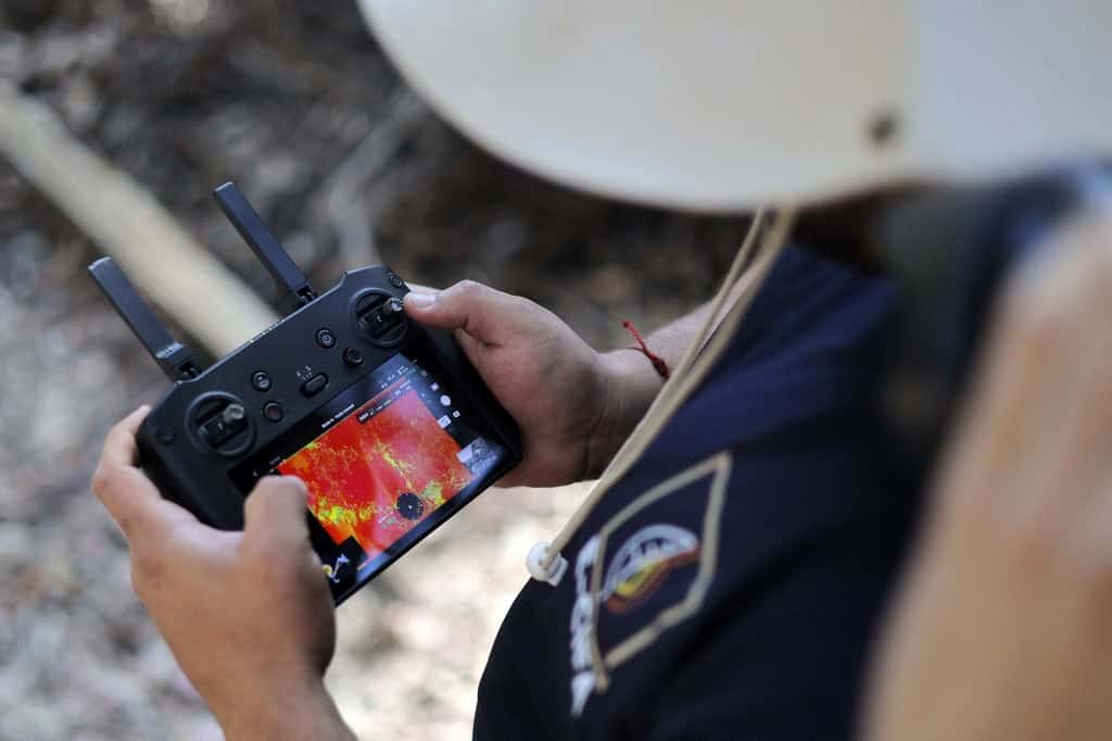 Árboles más resistentes al fuego para enfrentar incendios forestales en Chile