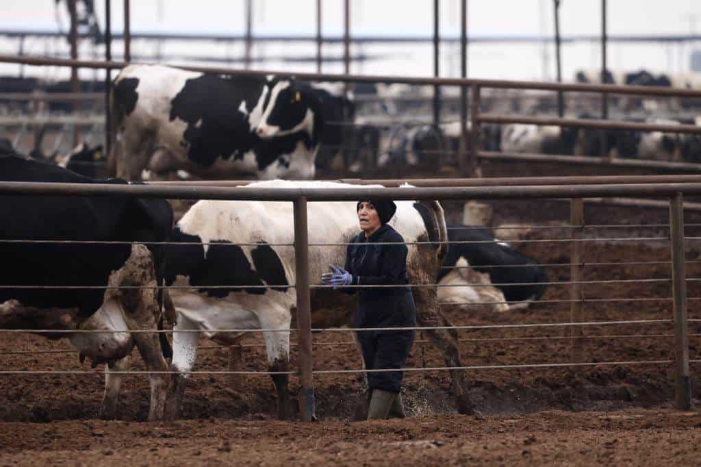 Agricultores de EEUU preocupados por promesas de deportaciones masivas de Trump