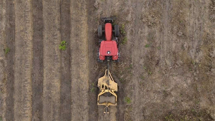 El mercado de carbono, ¿el nuevo El Dorado de la Amazonía brasileña?