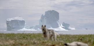 Groenlandia: ¿Por qué Trump no deja de insistir en este territorio?