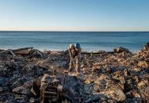 Los vientos de Santa Ana, un fenómeno que aviva los incendios de Los Ángeles