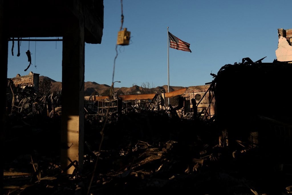 Cientos de animales vulnerables por los incendios de Los Ángeles