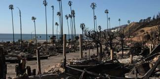 Certificadas brigadas forestales mexicanas que apoyan en incendios de California