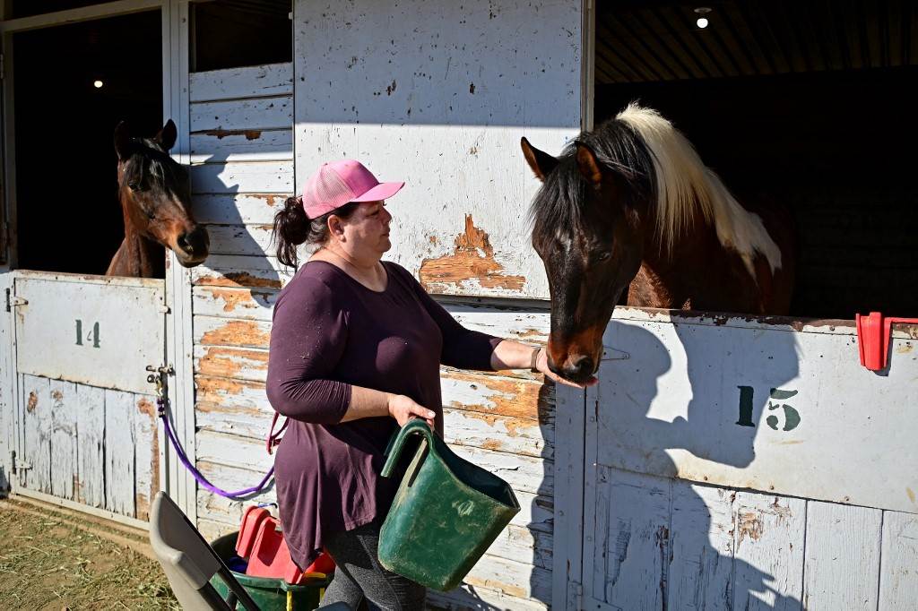 Cientos de animales vulnerables por los incendios de Los Ángeles