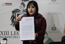 Por sufrir “violencia política”, la diputada Brenda Carrera interpuso queja ante el IEPC