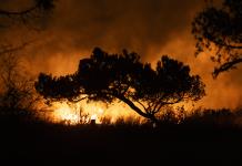 Los Ángeles enfrenta peligro de nuevos incendios por fuertes vientos cálidos