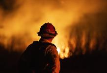 Cancelan el pomposo almuerzo de nominados a los Óscar por incendios en Los Ángeles