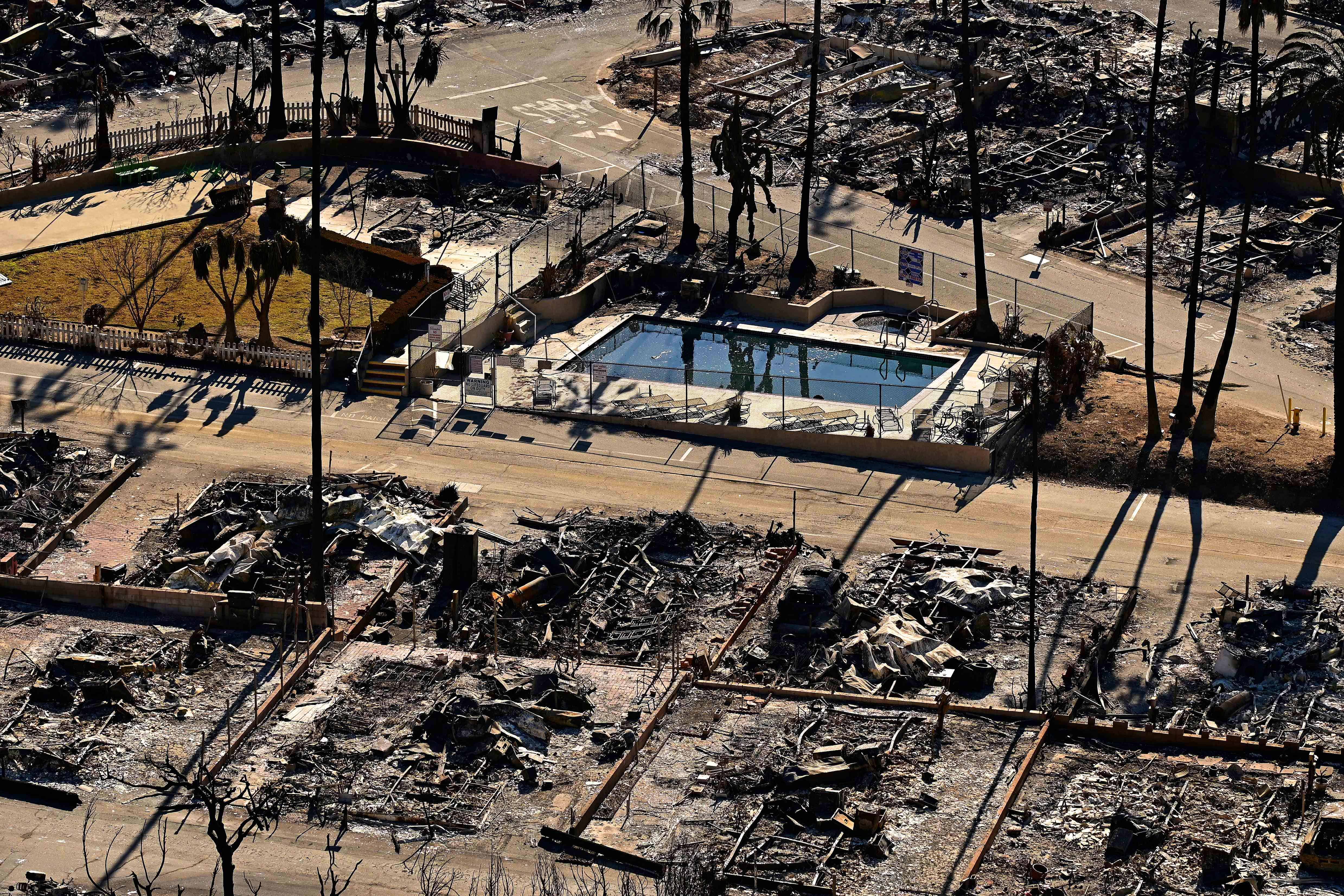 Cancelan el pomposo almuerzo de nominados a los Óscar por incendios en Los Ángeles