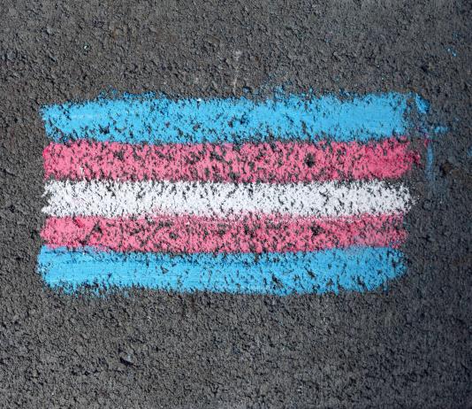 AI critica el desalojo de manifestaci&oacute;n trans en Ciudad de M&eacute;xico y llama al di&aacute;logo