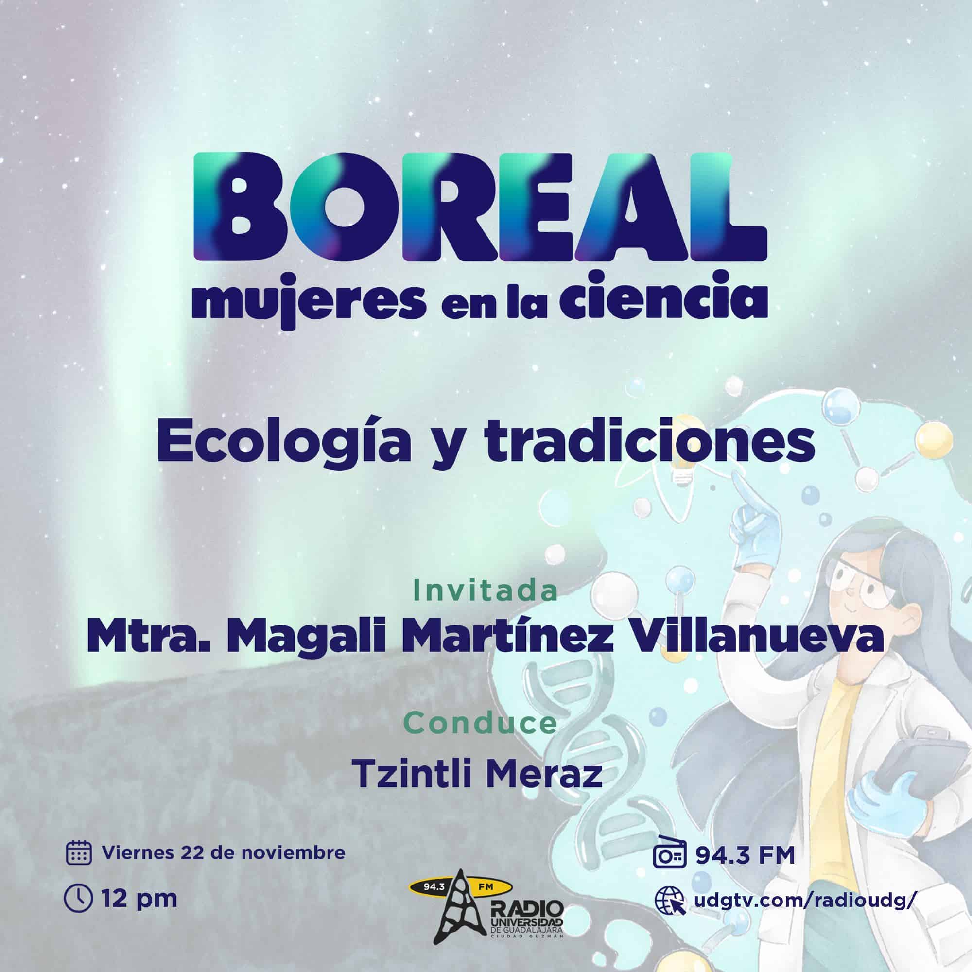 Boreal | 22 de Noviembre 2024