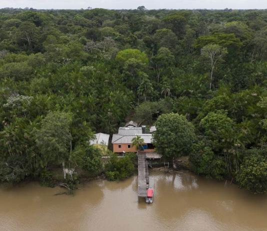 Con sus paradojas, Belém pisa el acelerador para acoger la primera COP en Amazonía