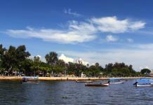 Toxinas del Lago de Chapala llegan al agua potable de Guadalajara sin control del SIAPA: experto