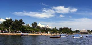 Toxinas del Lago de Chapala llegan al agua potable de Guadalajara sin control del SIAPA: experto