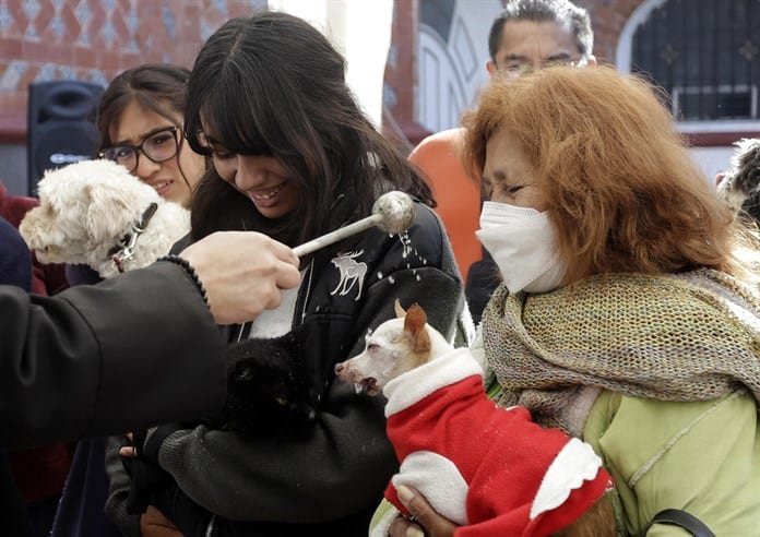 Miles de mexicanos llevan a bendecir sus mascotas al templo en el día de San Antonio Abad