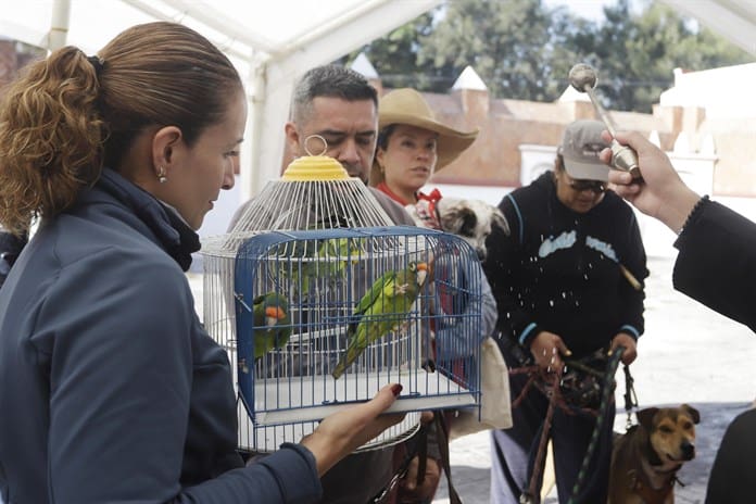 Miles de mexicanos llevan a bendecir sus mascotas al templo en el día de San Antonio Abad