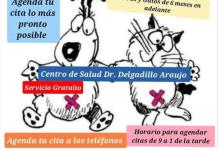 Campaña de esterilización gratuita por parte del Sector Salud