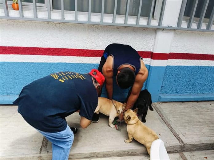 Campaña de esterilización gratuita por parte del Sector Salud