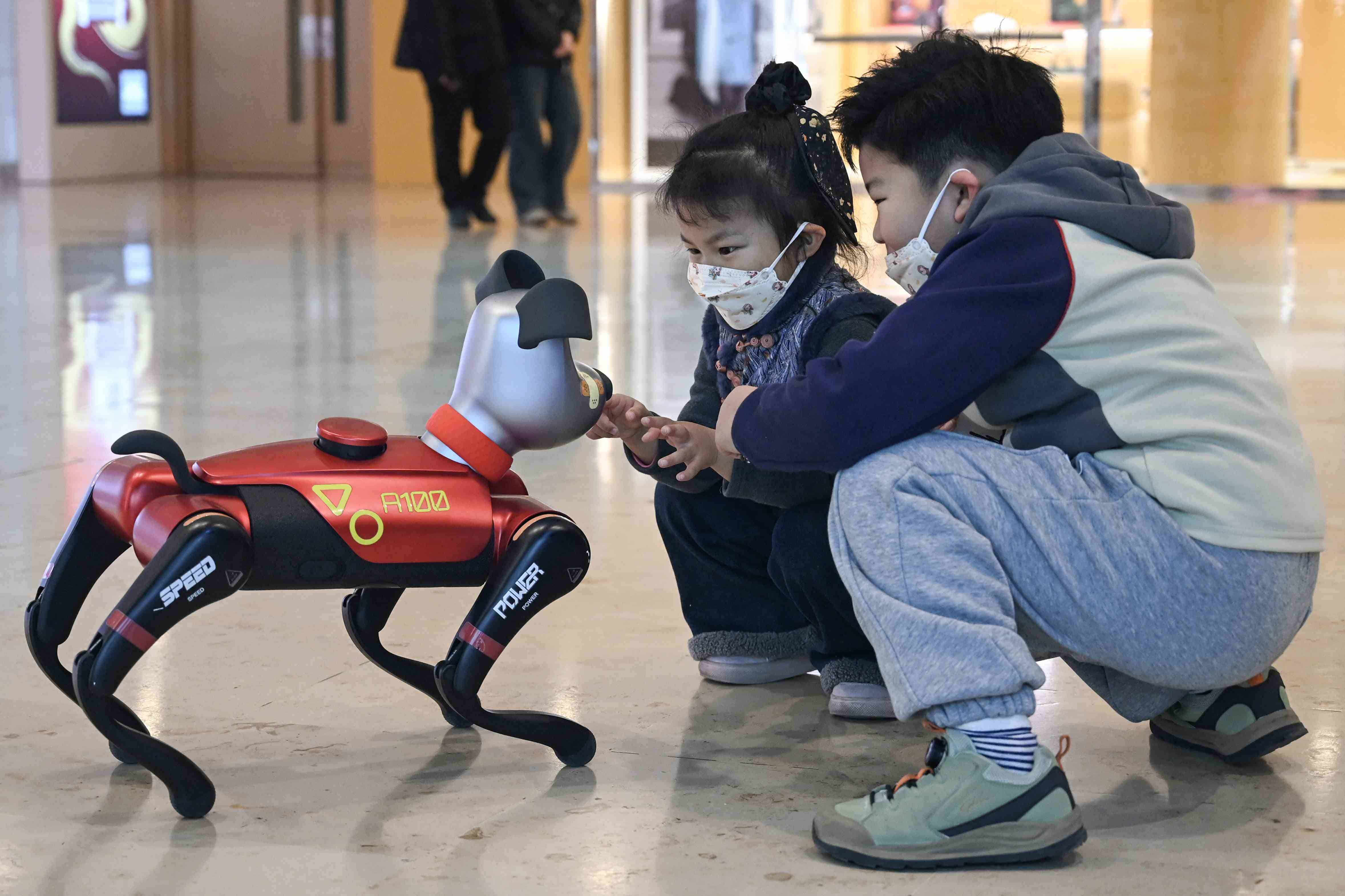 Los jóvenes chinos buscan bienestar emocional en las mascotas con IA