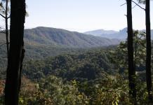 El Día Mundial de la Educación Ambiental: Reflexión y acción para el futuro del planeta