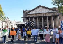 Activistas juntan firmas para impulsar la iniciativa de ley sobre Bienestar Animal en Jalisco