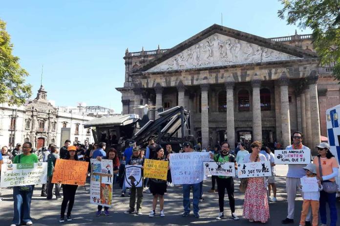 Activistas juntan firmas para impulsar la iniciativa de ley sobre Bienestar Animal en Jalisco