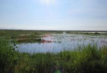 Lago de Texcoco se integra a Red Mundial de Sitios Demostración Ecohidrológica de Unesco