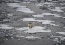 El mundo vivió el enero más cálido hasta la fecha, según el observatorio Copernicus