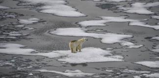 El mundo vivió el enero más cálido hasta la fecha, según el observatorio Copernicus