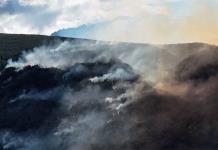 Incendios forestales en la Patagonia argentina ya afectan más de 25.000 hectáreas