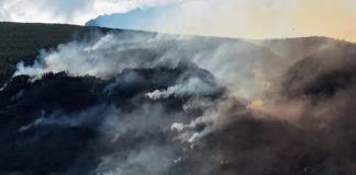 Incendios forestales en la Patagonia argentina ya afectan más de 25.000 hectáreas