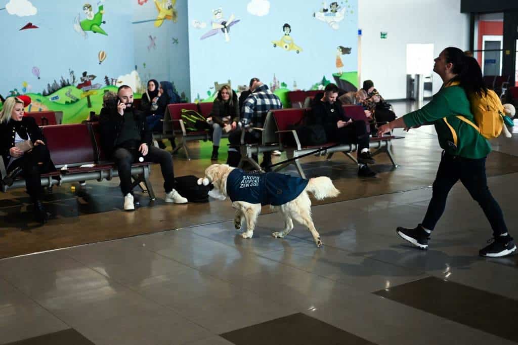 ¿Miedo a volar? El aeropuerto de Skopje tiene todo previsto... ¡incluso un perro!