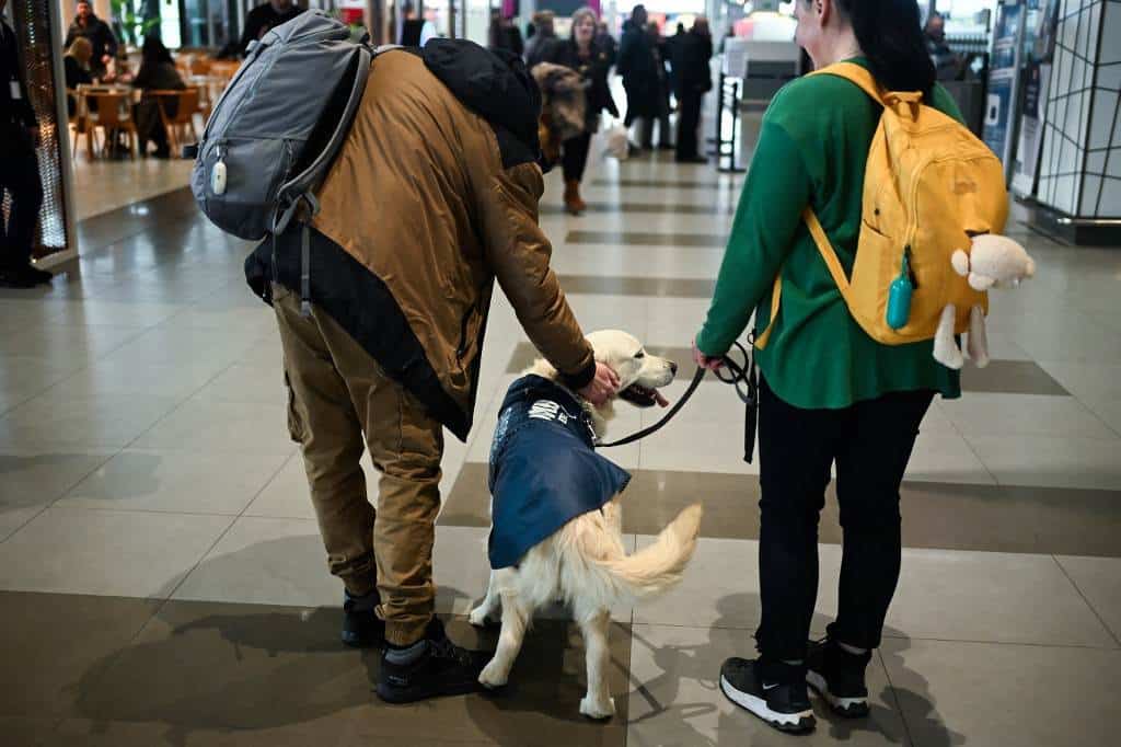 ¿Miedo a volar? El aeropuerto de Skopje tiene todo previsto... ¡incluso un perro!