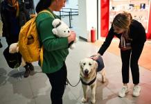 ¿Miedo a volar? El aeropuerto de Skopje tiene todo previsto... ¡incluso un perro!