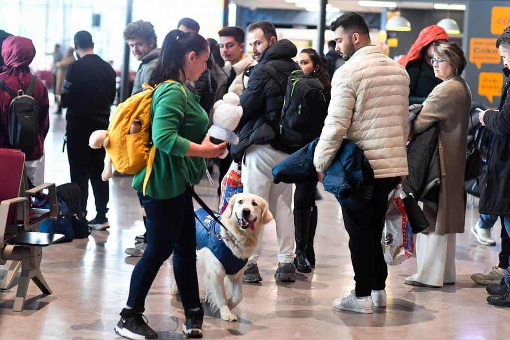 ¿Miedo a volar? El aeropuerto de Skopje tiene todo previsto... ¡incluso un perro!