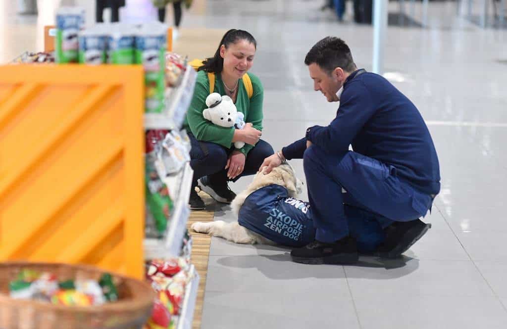 ¿Miedo a volar? El aeropuerto de Skopje tiene todo previsto... ¡incluso un perro!