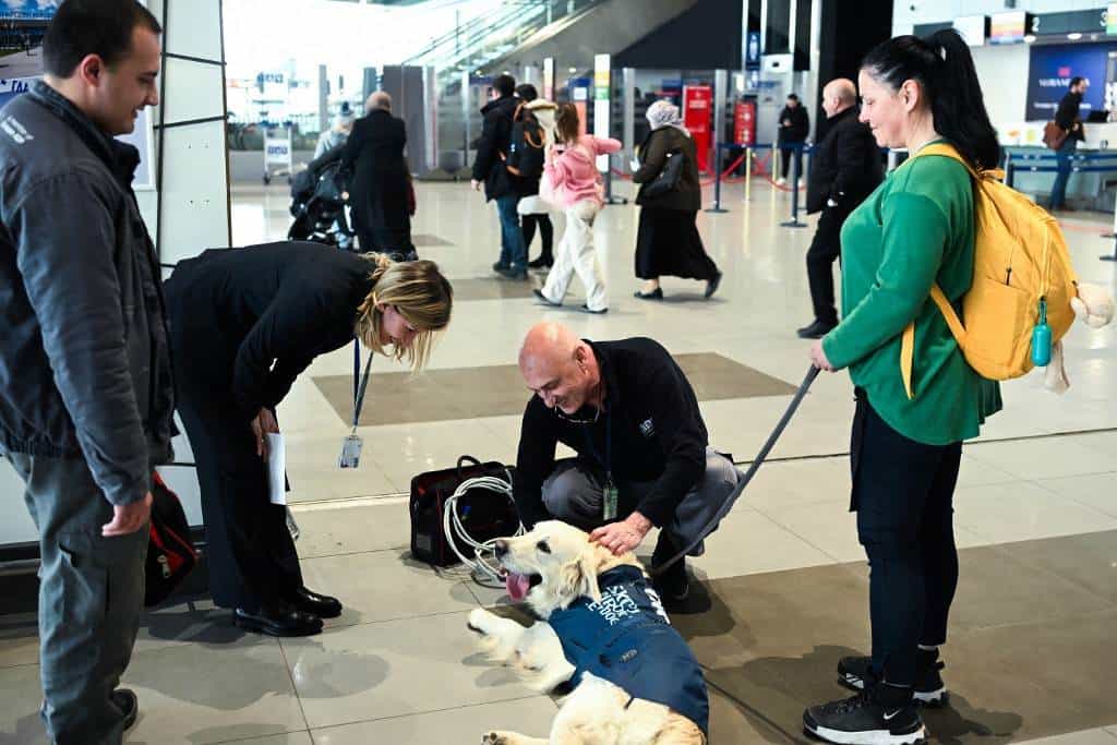 ¿Miedo a volar? El aeropuerto de Skopje tiene todo previsto... ¡incluso un perro!