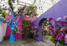 Orquídeas del Botánico de Nueva York rinden tributo al arquitecto mexicano Luis Barragán