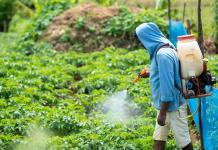 Los pesticidas causan daño considerable a la biodiversidad, advierte estudio