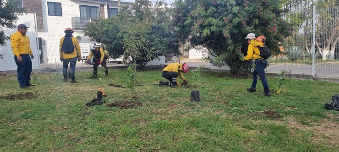 Campaña de Reforestación en el Centro Universitario de los Lagos